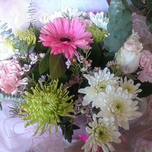 Meet your Posher, Teri